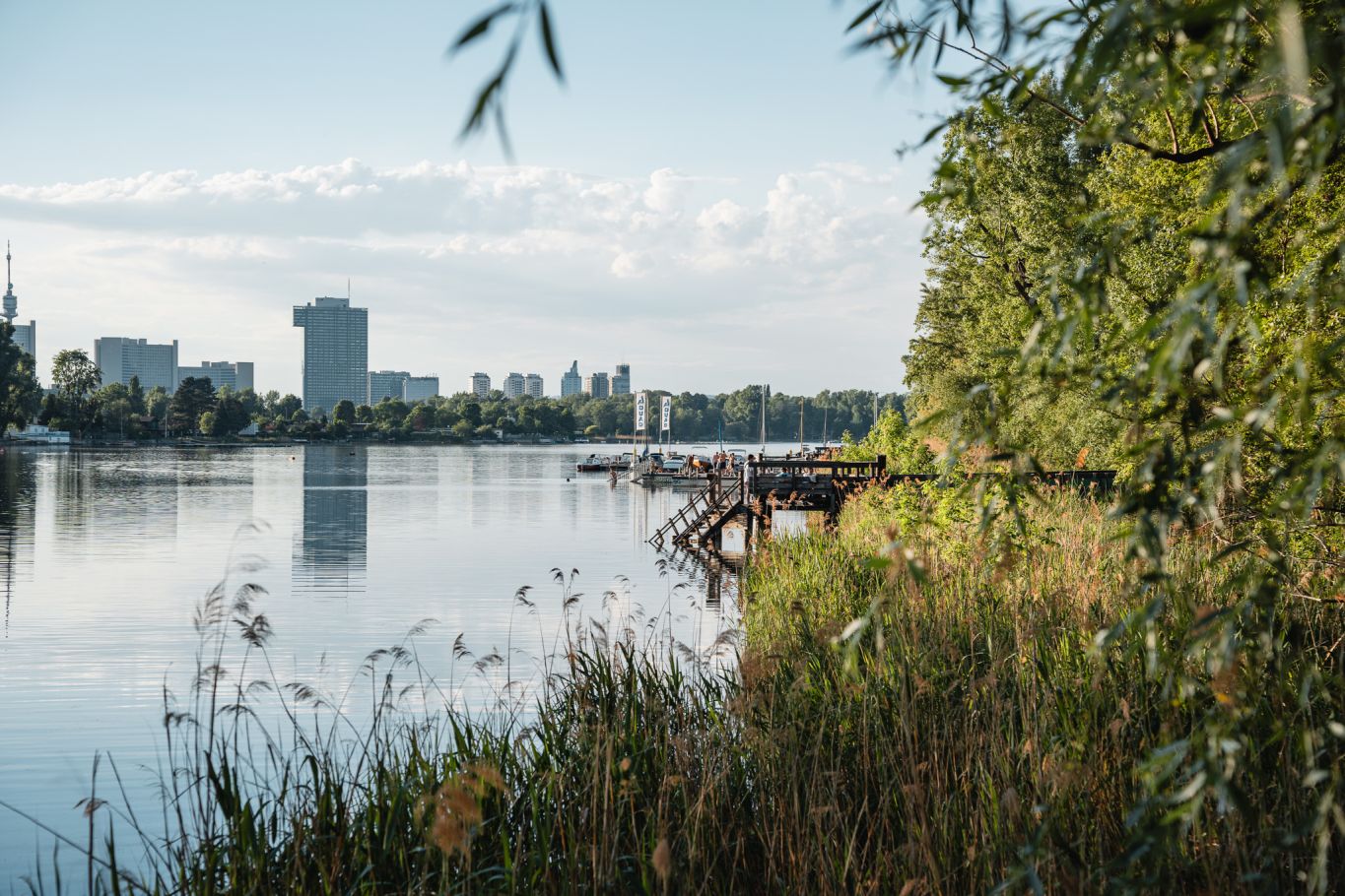 Seeufer mit Steg und Booten, umgeben von gr&uuml;ner Natur, mit Blick auf die Skyline einer Stadt im Hintergrund.